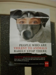 VEGAN FEST 2011- 22/25 APRILE - CAMARIORE vegan fest 2011 camaiore 20110427 1480032631