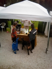 VEGAN FEST 2011- 22/25 APRILE - CAMARIORE vegan fest 2011 camaiore 20110427 1549119973