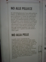 VEGAN FEST 2011- 22/25 APRILE - CAMARIORE vegan fest 2011 camaiore 20110427 1640793111