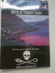 VEGAN FEST 2011- 22/25 APRILE - CAMARIORE vegan fest 2011 camaiore 20110427 1646043917