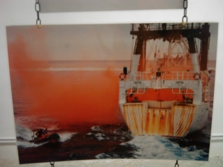 VEGAN FEST 2011- 22/25 APRILE - CAMARIORE vegan fest 2011 camaiore 20110427 1650612337