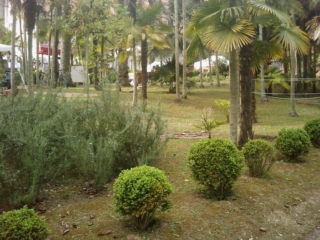 VEGAN FEST 2011- 22/25 APRILE - CAMARIORE vegan fest 2011 camaiore 20110427 1707653877