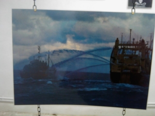 VEGAN FEST 2011- 22/25 APRILE - CAMARIORE vegan fest 2011 camaiore 20110427 1716034572