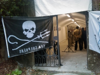 VEGAN FEST 2011- 22/25 APRILE - CAMARIORE vegan fest 2011 camaiore 20110427 1805083892