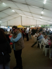 VEGAN FEST 2011- 22/25 APRILE - CAMARIORE vegan fest 2011 camaiore 20110427 1833895511