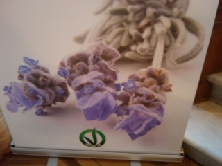 VEGAN FEST 2011- 22/25 APRILE - CAMARIORE vegan fest 2011 camaiore 20110427 1835825908