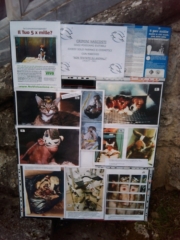 VEGAN FEST 2011- 22/25 APRILE - CAMARIORE vegan fest 2011 camaiore 20110427 1839529371