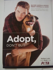 VEGAN FEST 2011- 22/25 APRILE - CAMARIORE vegan fest 2011 camaiore 20110427 1846130450