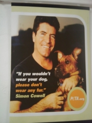 VEGAN FEST 2011- 22/25 APRILE - CAMARIORE vegan fest 2011 camaiore 20110427 1850253702