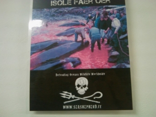 VEGAN FEST 2011- 22/25 APRILE - CAMARIORE vegan fest 2011 camaiore 20110427 1858695353