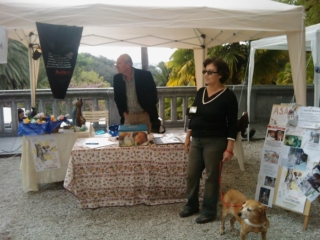 VEGAN FEST 2011- 22/25 APRILE - CAMARIORE vegan fest 2011 camaiore 20110427 1874514680