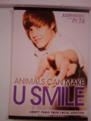 VEGAN FEST 2011- 22/25 APRILE - CAMARIORE vegan fest 2011 camaiore 20110427 1897525625