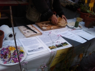 VEGAN FEST 2011- 22/25 APRILE - CAMARIORE vegan fest 2011 camaiore 20110427 1920873822