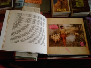 VEGAN FEST 2011- 22/25 APRILE - CAMARIORE vegan fest 2011 camaiore 20110427 1923751725