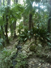 VEGAN FEST 2011- 22/25 APRILE - CAMARIORE vegan fest 2011 camaiore 20110427 1987145666