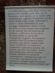 VEGAN FEST 2011- 22/25 APRILE - CAMARIORE vegan fest 2011 camaiore 20110427 2023485306