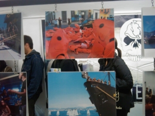 VEGAN FEST 2011- 22/25 APRILE - CAMARIORE vegan fest 2011 camaiore 20110427 2052062679