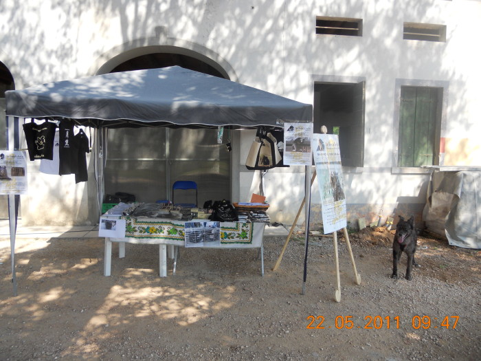 TAVOLO ANIMALS ASIA - Giavera del Montello (TV) - 22 maggio villaggio ve 20130212 1326955122