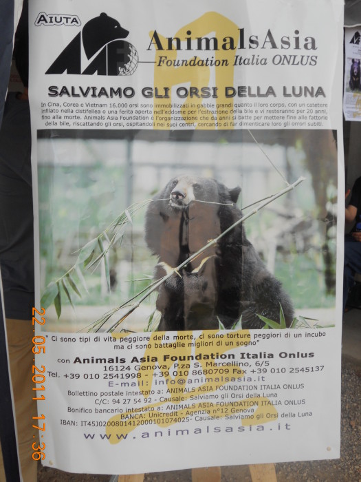 TAVOLO ANIMALS ASIA - Giavera del Montello (TV) - 22 maggio villaggio ve 20130212 2037199812