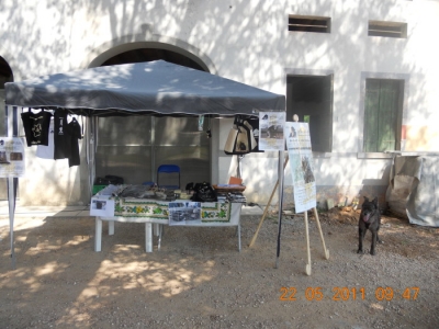 TAVOLO ANIMALS ASIA - Giavera del Montello (TV) - 22 maggio villaggio vegano 20110524 1526942449