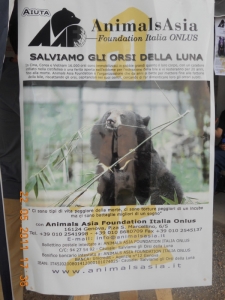 TAVOLO ANIMALS ASIA - Giavera del Montello (TV) - 22 maggio villaggio vegano 20110524 1989431301