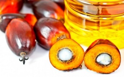 L’olio di palma fa male: effetti su salute e ambiente shutterstock 94650427 e1431616439244 400x250 1