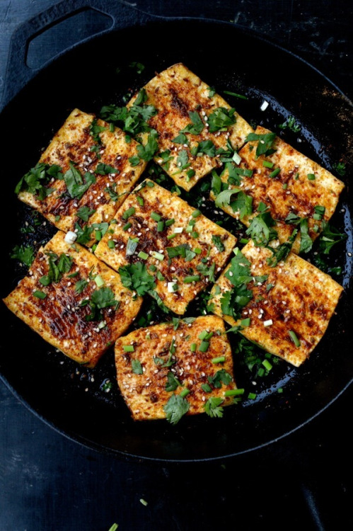 yummyinmytumbly: Spicy Griddled Tofu “Steaks” tumblr o1y6r0tJ591qg2tzfo1 500 1