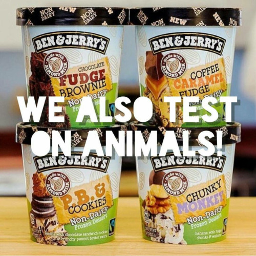 Animal testing of food for health benefits The BUAV released... tumblr o20zzo4fpf1tqolo9o1 500 1