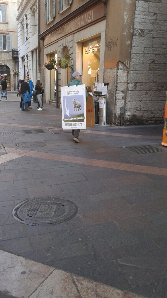 Manifestazione a Trento in difesa degli agnelli a Pasqua 24-25-26 Marzo - Parte 2 IMG 20160326 WA0055
