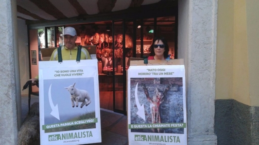 Manifestazione a Trento in difesa degli agnelli a Pasqua 24-25-26 Marzo - Parte 2 IMG 20160326 WA0059 1024x576