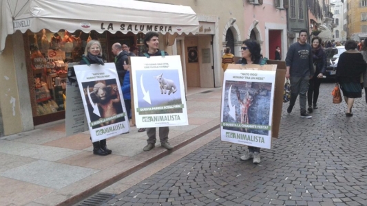 Manifestazione a Trento in difesa degli agnelli a Pasqua 24-25-26 Marzo trento manifestazione pasqua difesa agnelli 1 1024x576