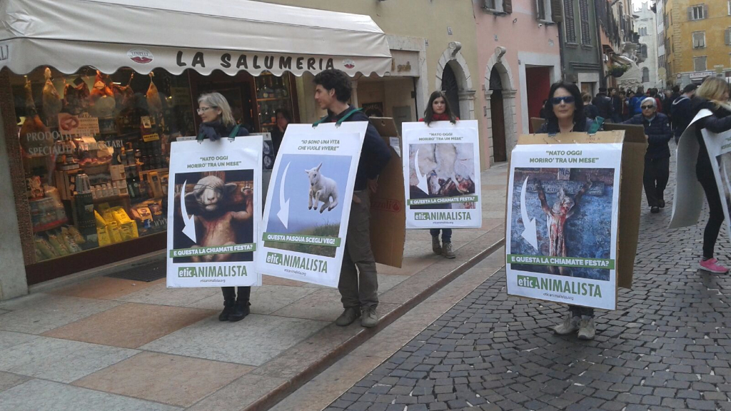 Manifestazione a Trento in difesa degli agnelli a Pasqua 24-25-26 Marzo trento manifestazione pasqua difesa agnelli 10