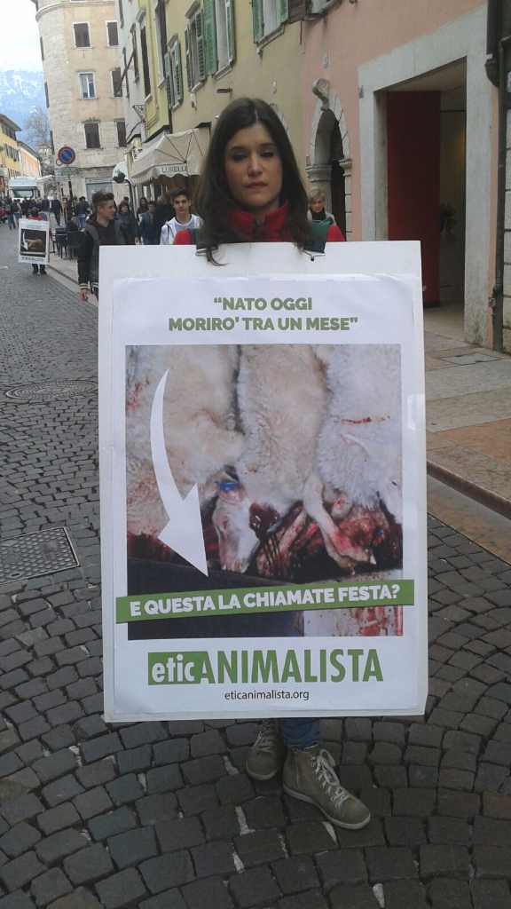 Manifestazione a Trento in difesa degli agnelli a Pasqua 24-25-26 Marzo trento manifestazione pasqua difesa agnelli 11