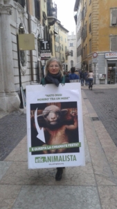 Manifestazione a Trento in difesa degli agnelli a Pasqua 24-25-26 Marzo trento manifestazione pasqua difesa agnelli 12 576x1024