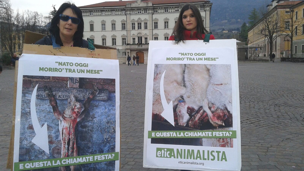Manifestazione a Trento in difesa degli agnelli a Pasqua 24-25-26 Marzo trento manifestazione pasqua difesa agnelli 16