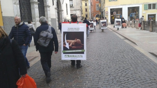 Manifestazione a Trento in difesa degli agnelli a Pasqua 24-25-26 Marzo trento manifestazione pasqua difesa agnelli 2 1024x576