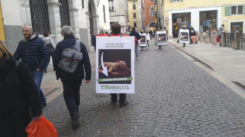 Manifestazione a Trento in difesa degli agnelli a Pasqua 24-25-26 Marzo trento manifestazione pasqua difesa agnelli 2