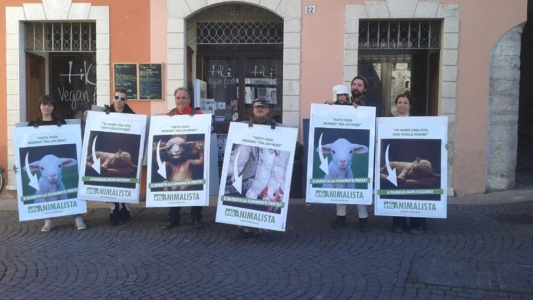 Manifestazione a Trento in difesa degli agnelli a Pasqua 24-25-26 Marzo trento manifestazione pasqua difesa agnelli 3 1024x576