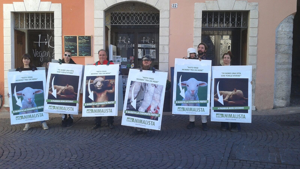 Manifestazione a Trento in difesa degli agnelli a Pasqua 24-25-26 Marzo trento manifestazione pasqua difesa agnelli 3