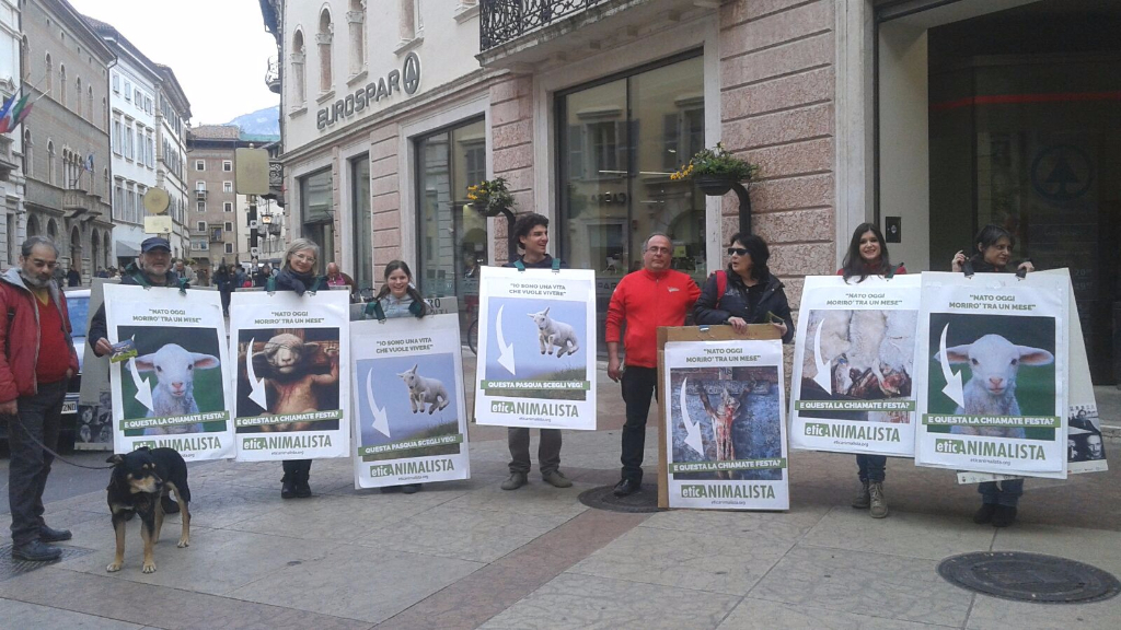 Manifestazione a Trento in difesa degli agnelli a Pasqua 24-25-26 Marzo trento manifestazione pasqua difesa agnelli 4
