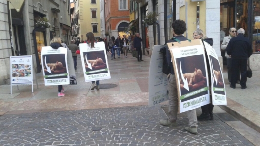 Manifestazione a Trento in difesa degli agnelli a Pasqua 24-25-26 Marzo 6