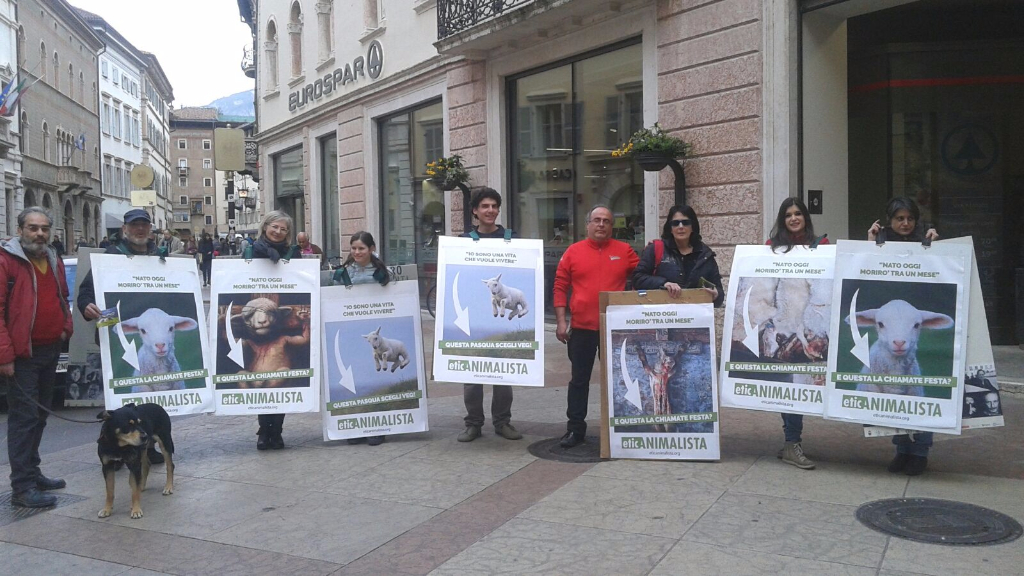 Manifestazione a Trento in difesa degli agnelli a Pasqua 24-25-26 Marzo trento manifestazione pasqua difesa agnelli 7