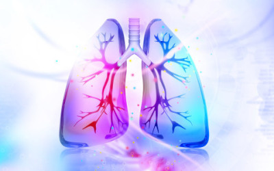 Come pulire i polmoni dal fumo in modo naturale shutterstock 291014192 e1459771532501 400x250 1