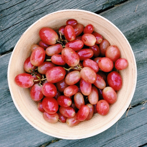 eat-to-thrive: Snacking on a bowl full of organically grown red... 22
