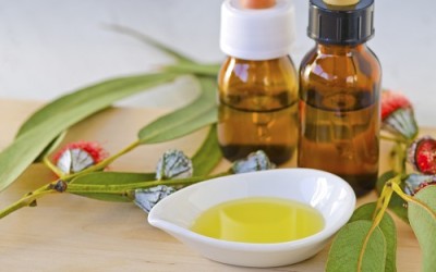 Olio essenziale eucalipto: proprietà e utilizzi eucalipto olio essenziale