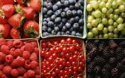 Dieta dei colori: frutta e verdura curano a seconda dei colori frutti rossi e1342560854995 400x250 1