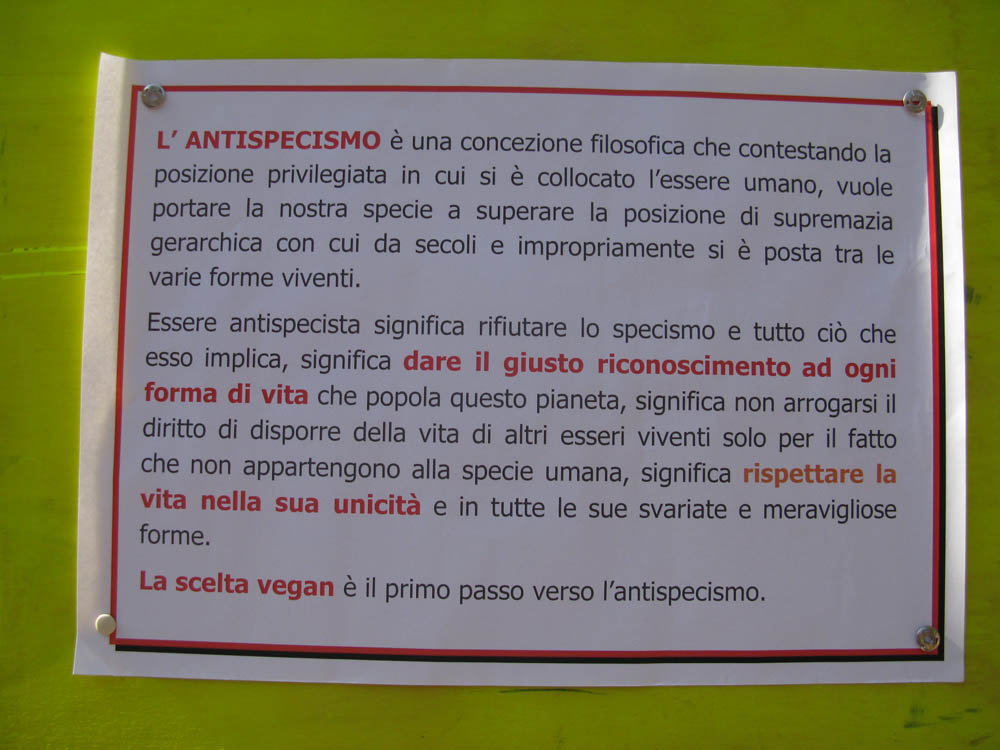Trento Veg - 2012 Days of future past trento veg 2012 29