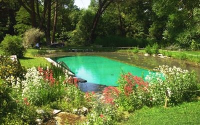 Biopiscine: arriva la piscina naturale che non contiene cloro biopiscine 400x250 1