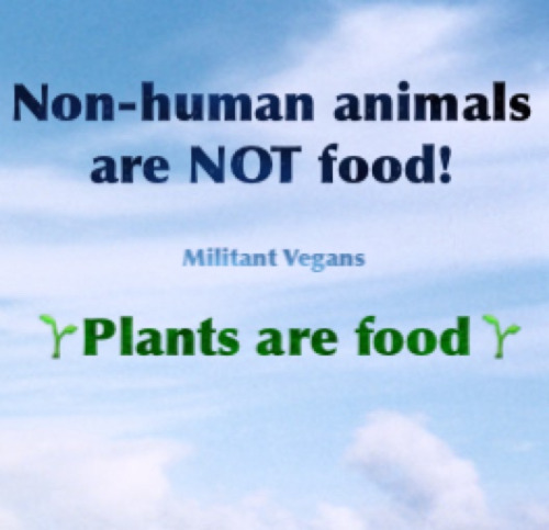 ▶️▶️▶️ www.vegansociety.com tumblr oc4jhlO6yU1tqolo9o1 500 1