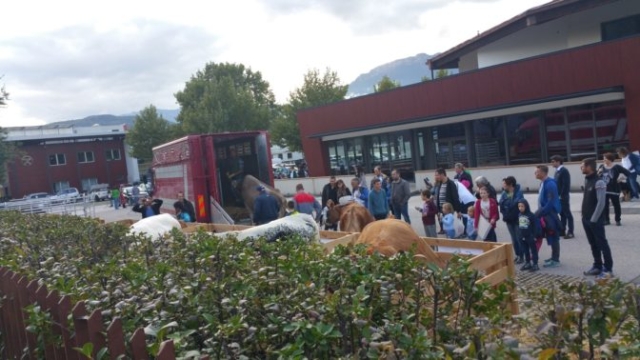 Fronte animalista Bolzano - Manifestazione Porte aperte 10 anni della casa della zootecnia 20161015 160611 672x378
